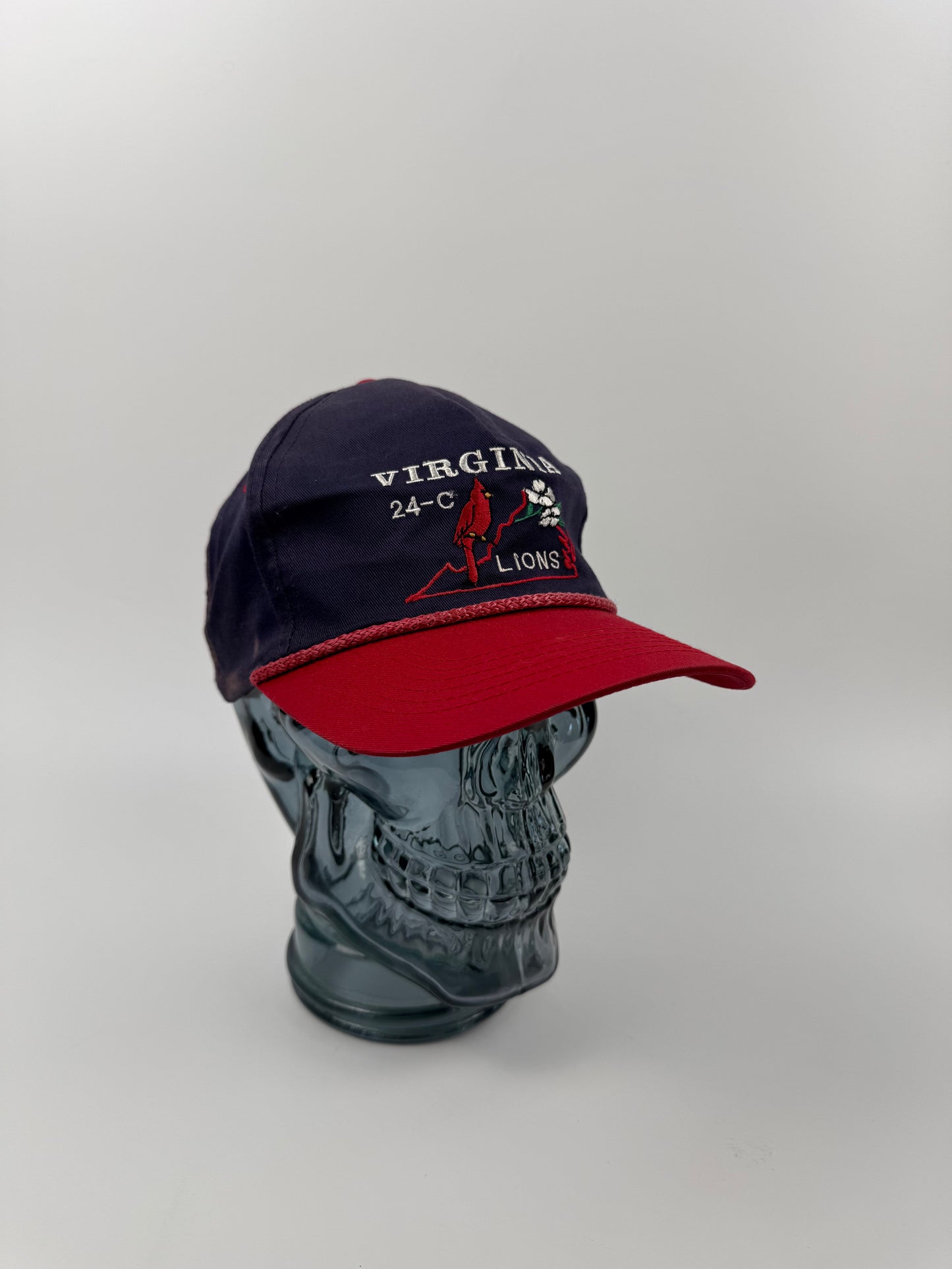 VTG Virginia Lions Snapback