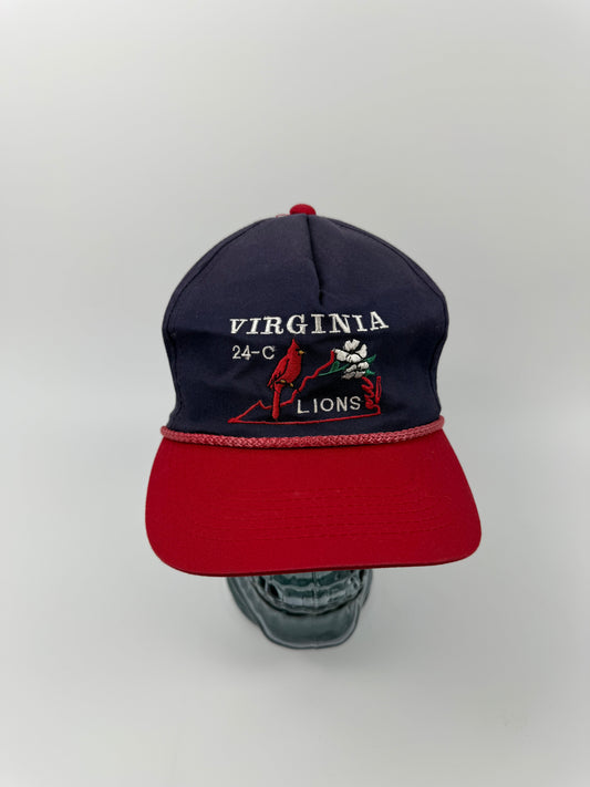 VTG Virginia Lions Snapback