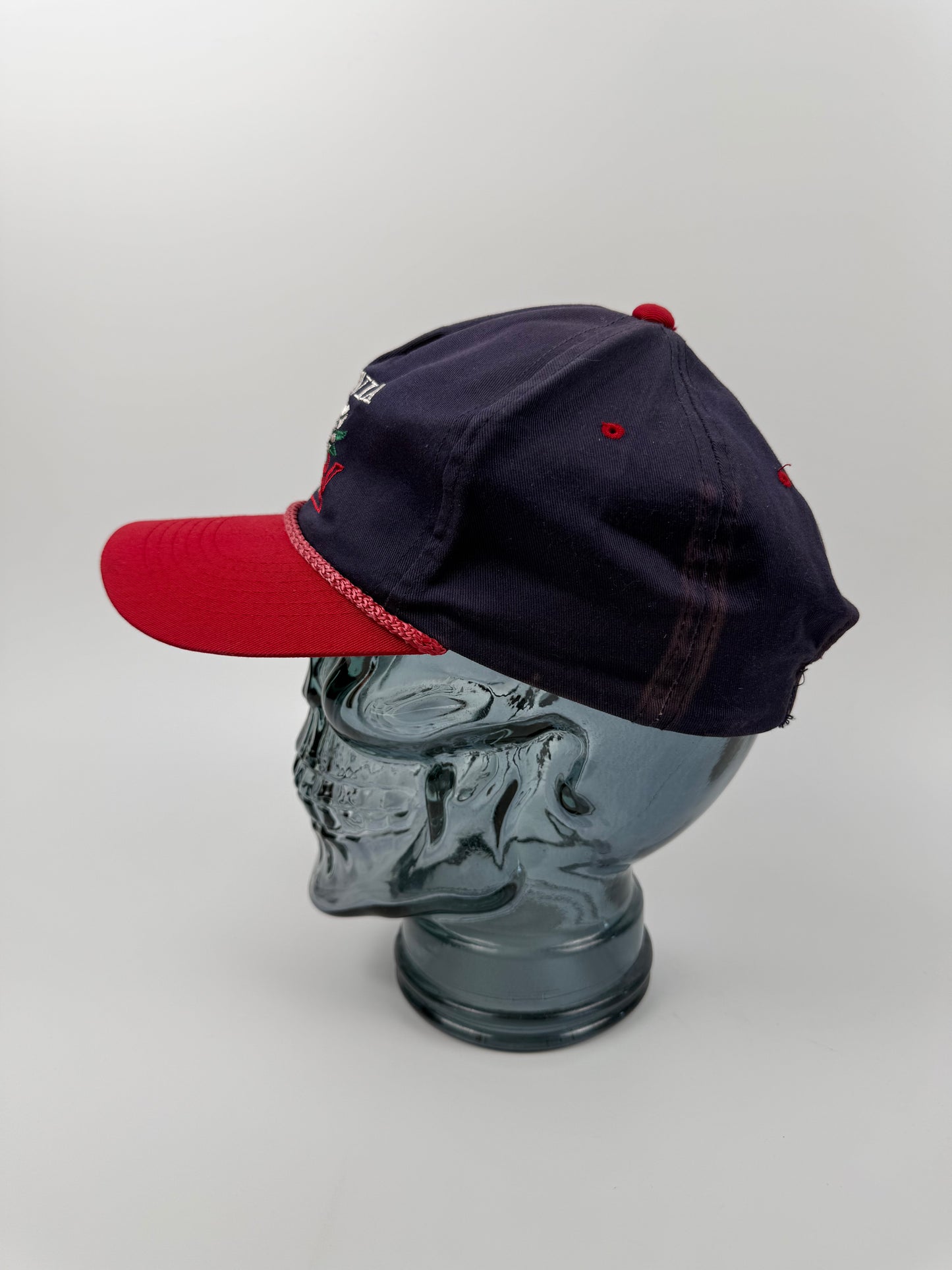 VTG Virginia Lions Snapback