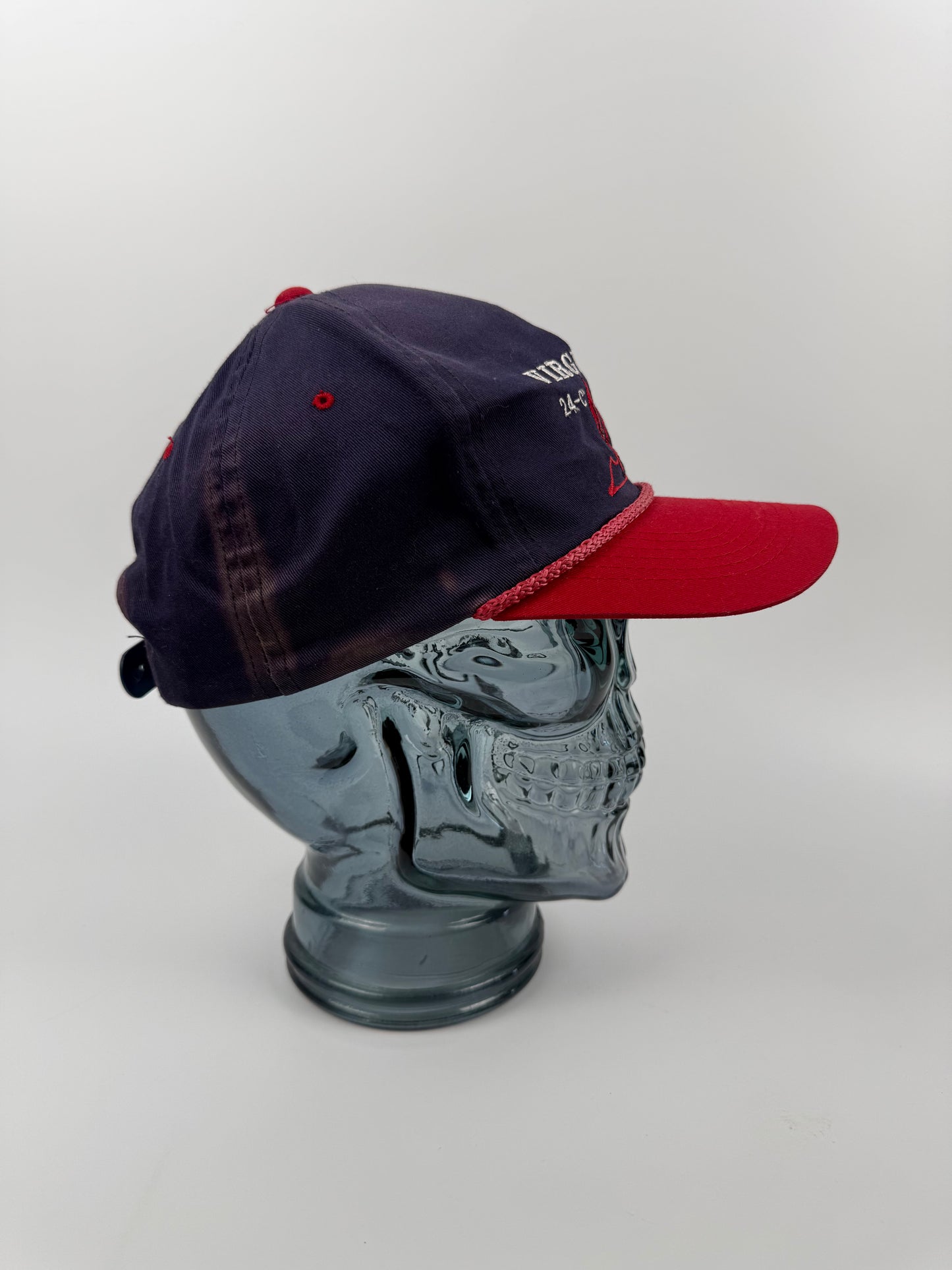 VTG Virginia Lions Snapback