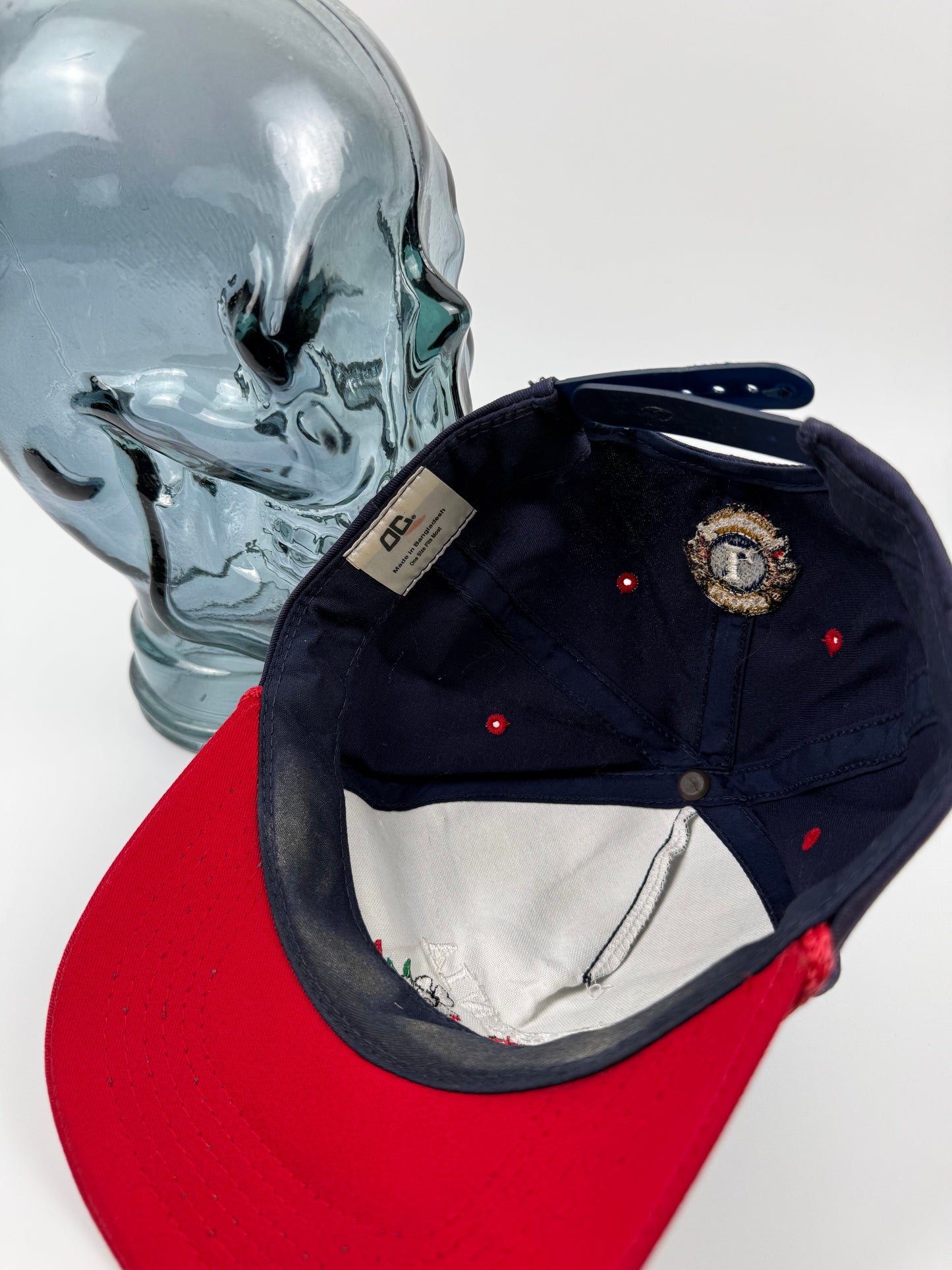 VTG Virginia Lions Snapback