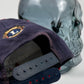 VTG Virginia Lions Snapback