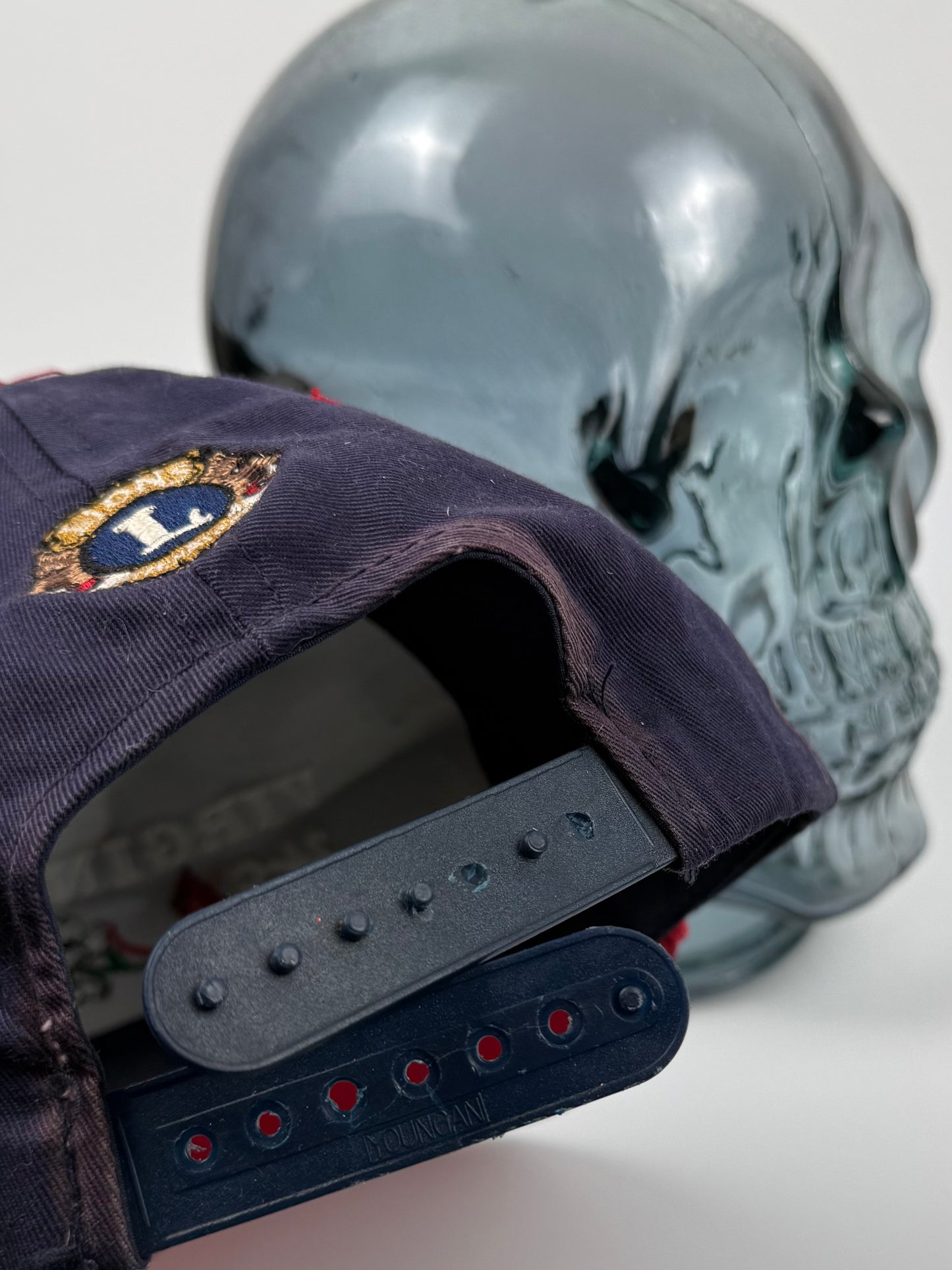 VTG Virginia Lions Snapback