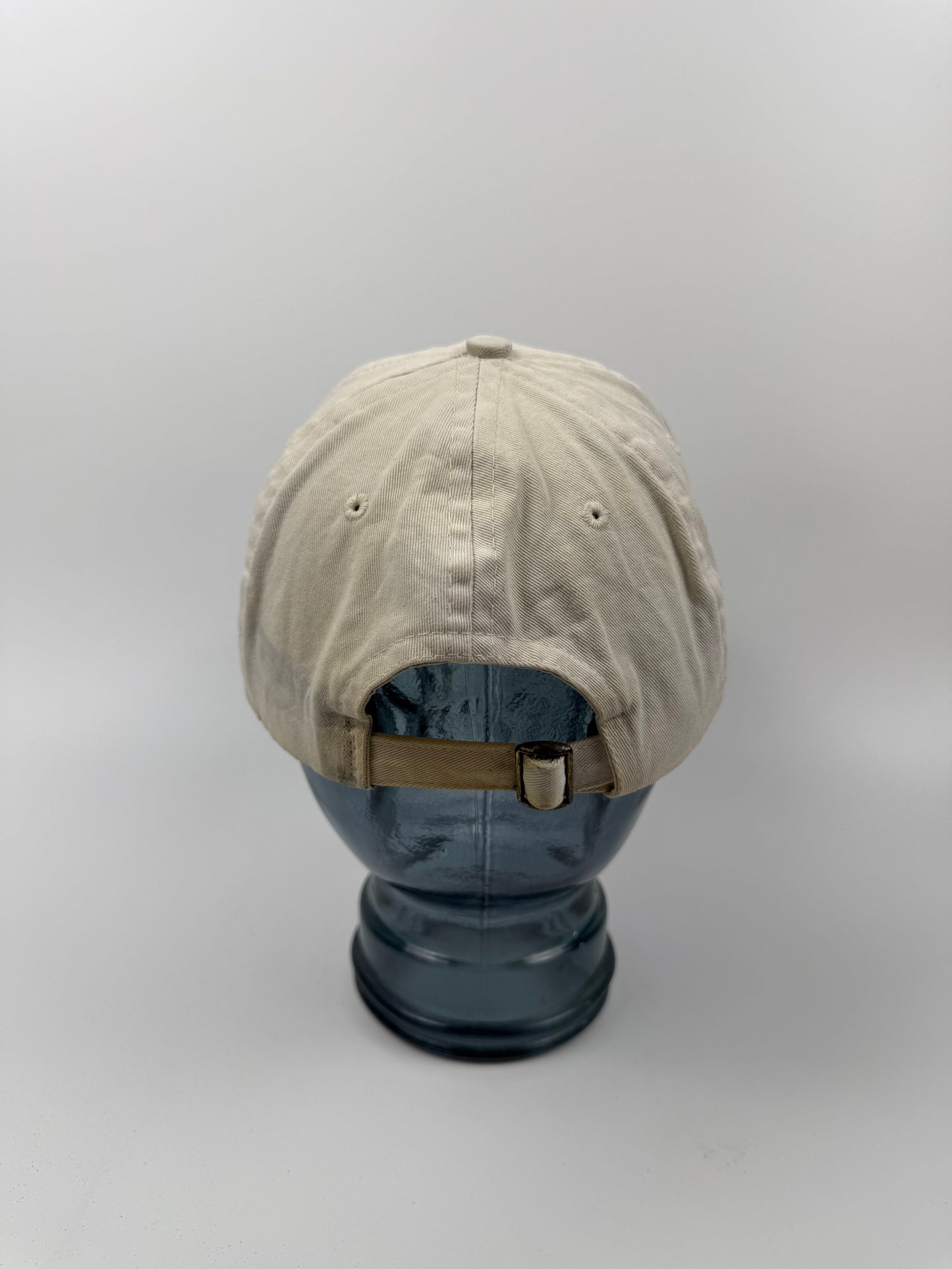 VTG BMW Strapback